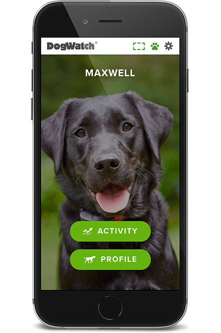 DogWatch of Mid-Canada, Winnipeg, Manitoba | SmartFence WebApp Image