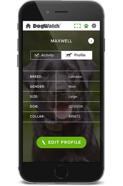 DogWatch of Mid-Canada, Winnipeg, Manitoba | SmartFence WebApp Image